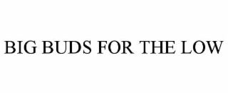 BIG BUDS FOR THE LOW