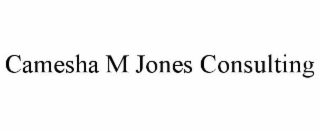 CAMESHA M JONES CONSULTING
