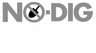 NO DIG