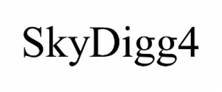 SKYDIGG4