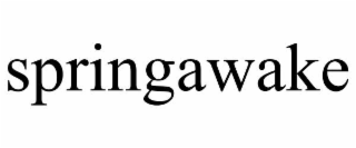SPRINGAWAKE