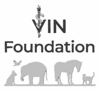 VIN FOUNDATION