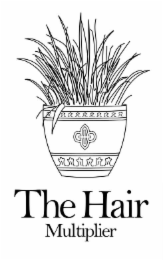 THE HAIR MULTIPLIER