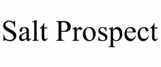 SALT PROSPECT