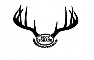 BUCK FORAGE
