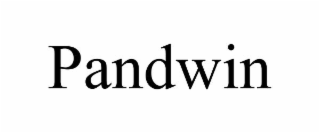 PANDWIN