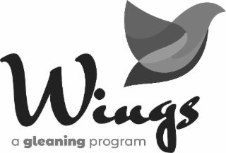 WINGS  A GLEANING PROGRAM