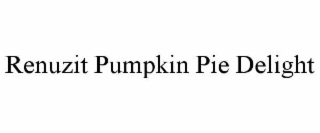 RENUZIT PUMPKIN PIE DELIGHT