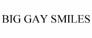 BIG GAY SMILES