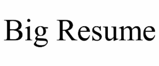 BIG RESUME