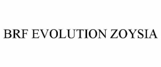 BRF EVOLUTION ZOYSIA