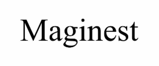 MAGINEST
