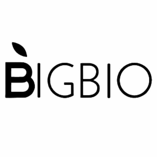BIGBIO