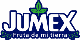 JUMEX FRUTA DE MI TIERRA