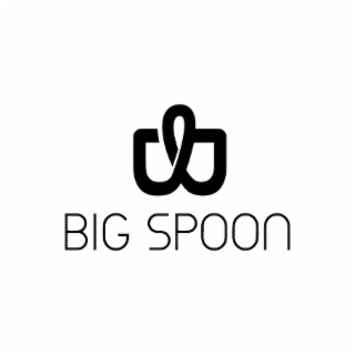 BIG SPOON
