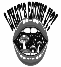 WHAT'S EATING U?!