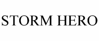 STORM HERO