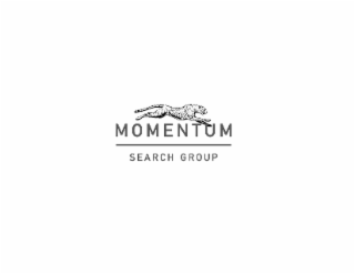 MOMENTUM SEARCH GROUP