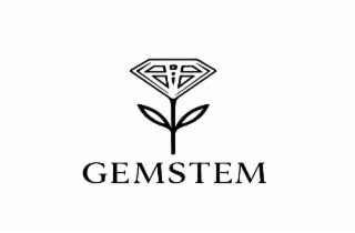 GEMSTEM