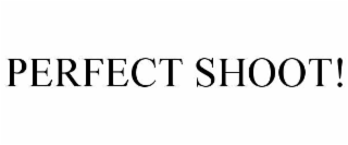 PERFECT SHOOT!