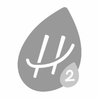 H 2
