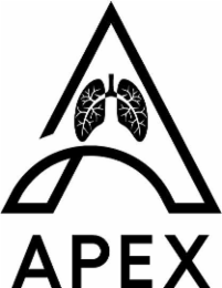 APEX