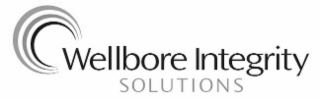 WELLBORE INTEGRITY SOLUTIONS