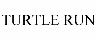 TURTLE RUN