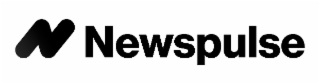 N NEWSPULSE