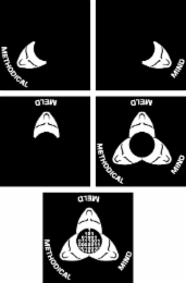 METHODICAL MIND MELD 11010100101110010000011001001011011