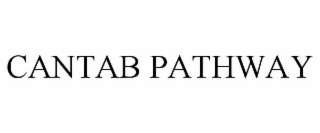 CANTAB PATHWAY