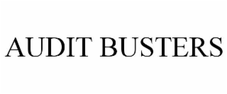 AUDIT BUSTERS