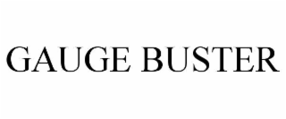 GAUGE BUSTER